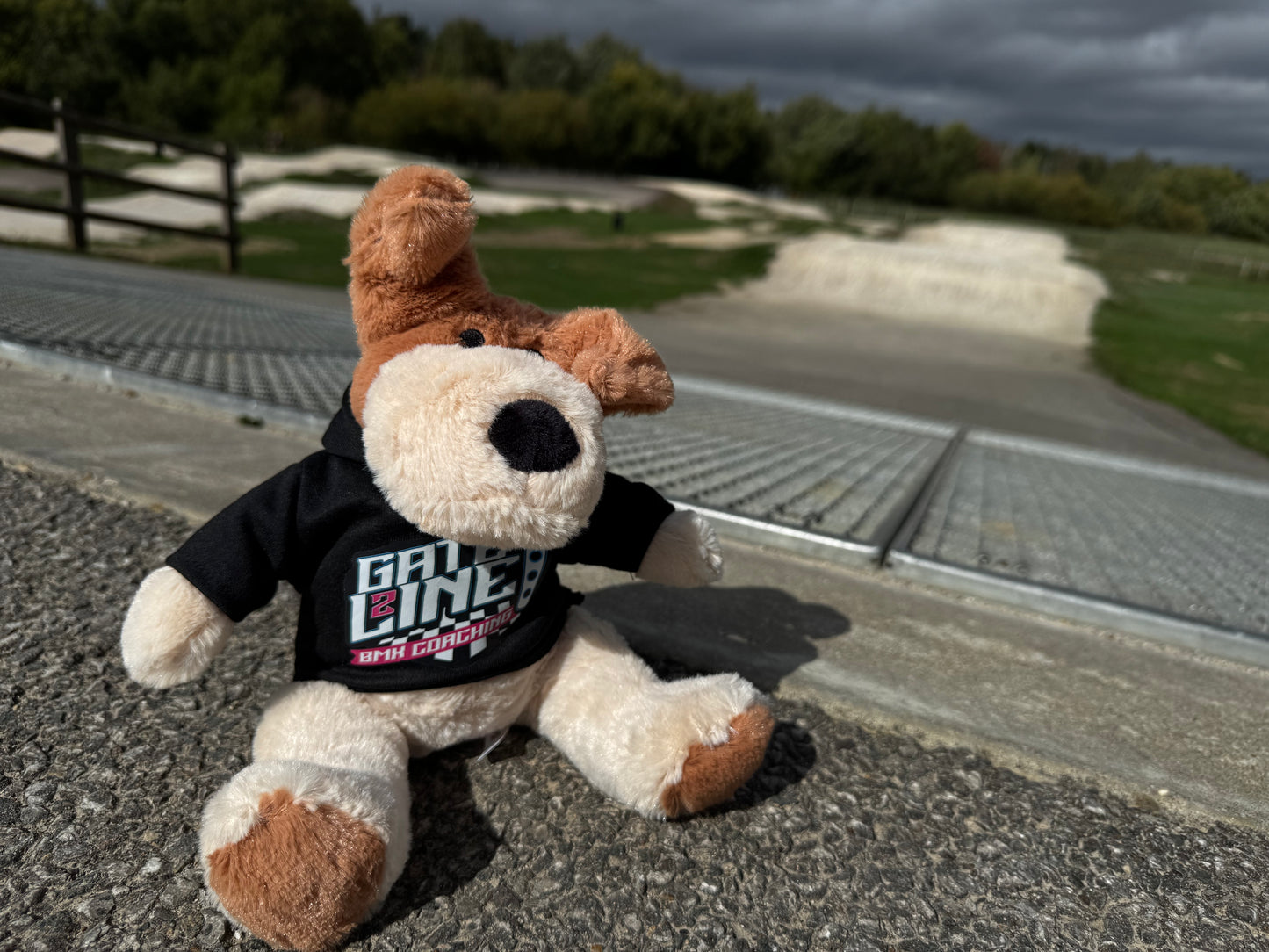 Gate 2 Line - Mascot Dog with Hoodie