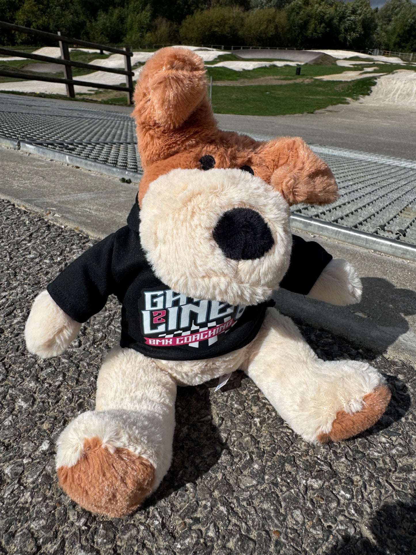 Gate 2 Line - Mascot Dog with Hoodie